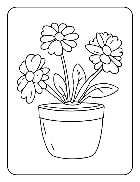 Three curved daisies with thin leaves rising from a round pot on a flower coloring page