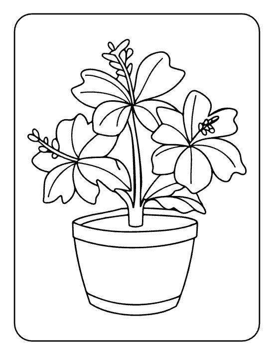 Three hibiscus blooms with five wide petals and a tall stem on a flower coloring page