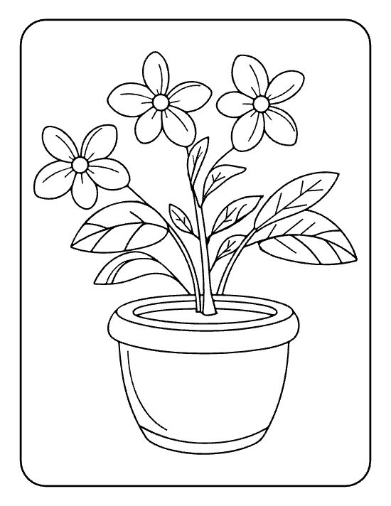 Three simple five petal jasmine flowers above veined leaves in a pot on a coloring sheet