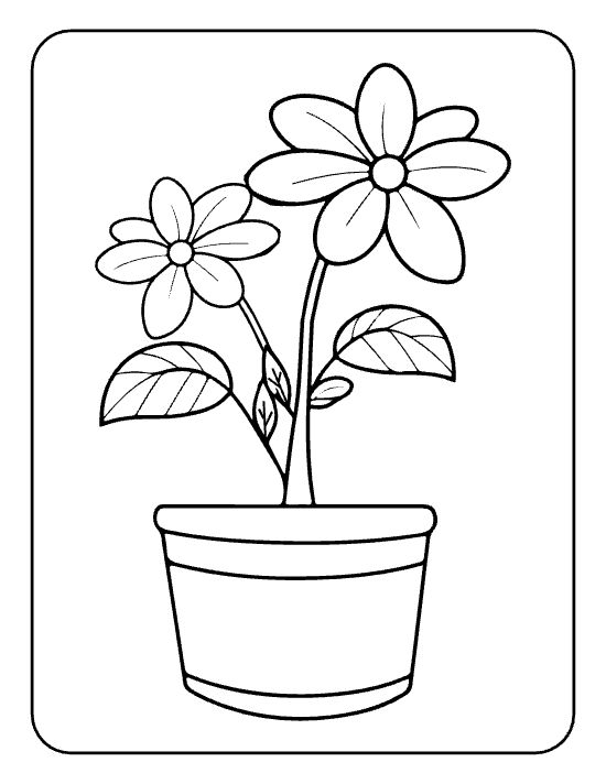 Two pointed flowers with veined leaves rising from a tall pot drawn bold and easy