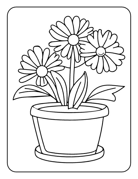 Three round daisies on tall stems with curved leaves in a saucer pot on a coloring page