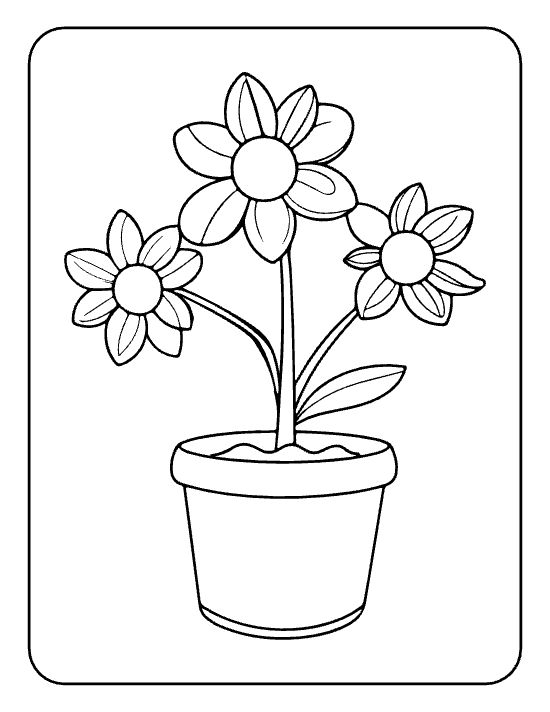 Three sunburst flowers with pointed petals and small leaves in a round pot on a coloring page