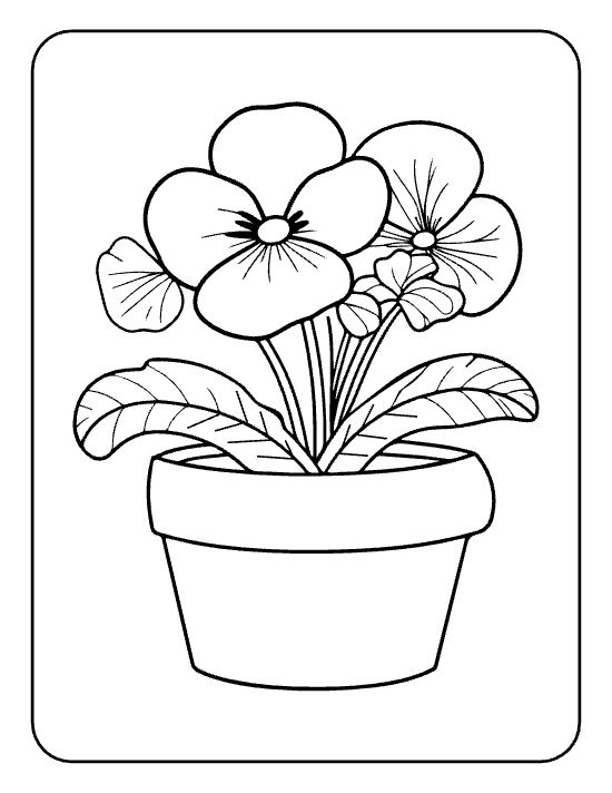 Big pansy bloom with small side bloom and long leaves in a tall pot on a coloring page