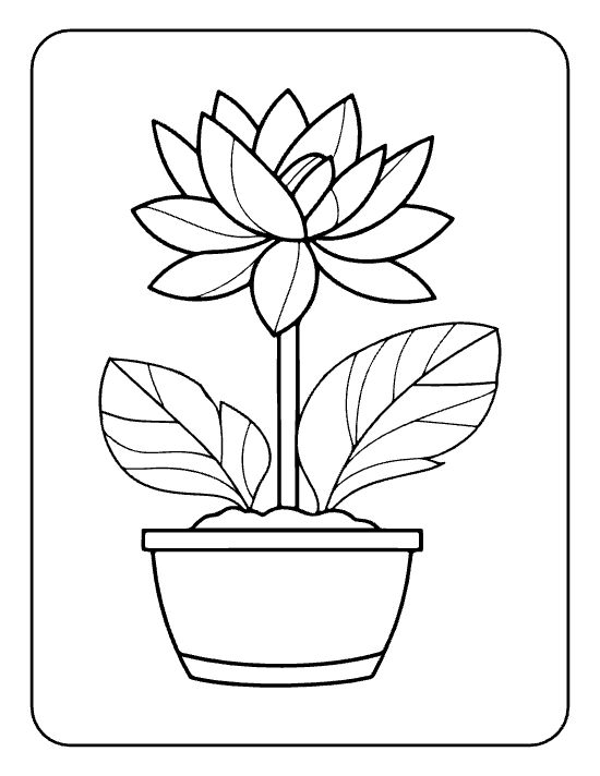 Layered lotus bloom above two veined leaves rising from a round pot drawn bold and easy