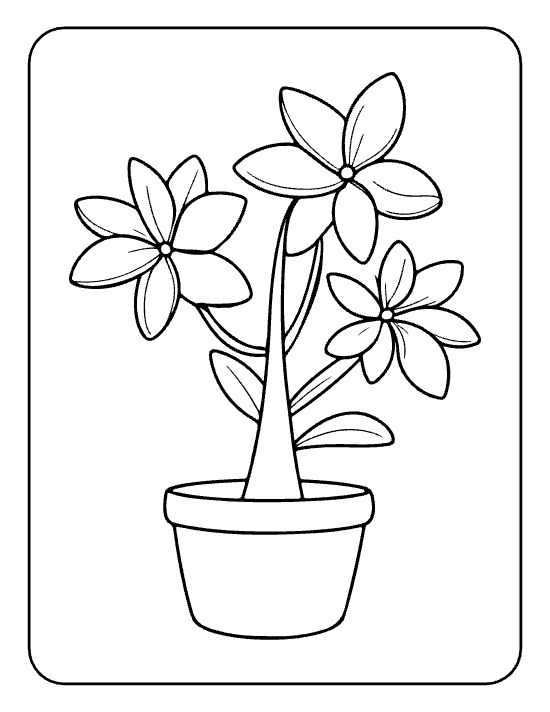 Three pinwheel flowers with pointed petals and leaves in a round pot drawn bold and easy