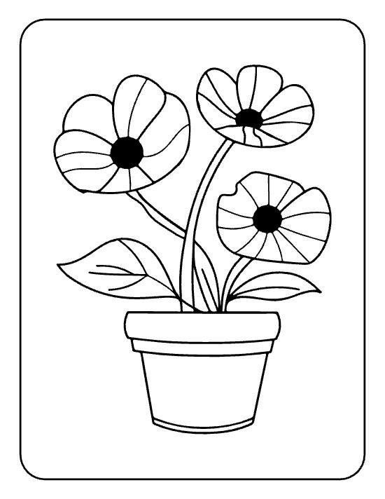 Three poppies with dark centers and broad leaves in a tall pot on a flower coloring sheet