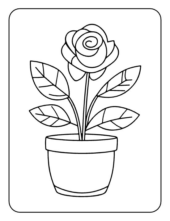 Single curled rose with four veined leaves rising from a small pot on a coloring page