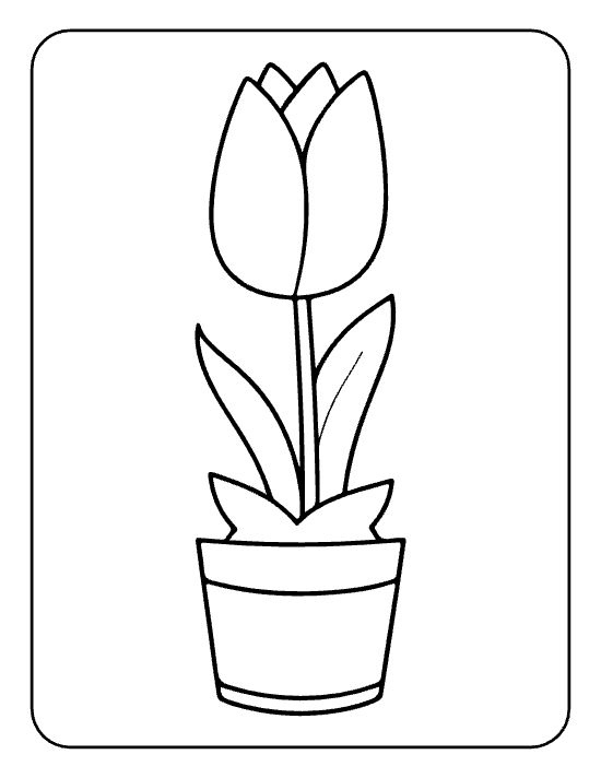 Tall tulip with two long leaves in a striped pot drawn bold and easy