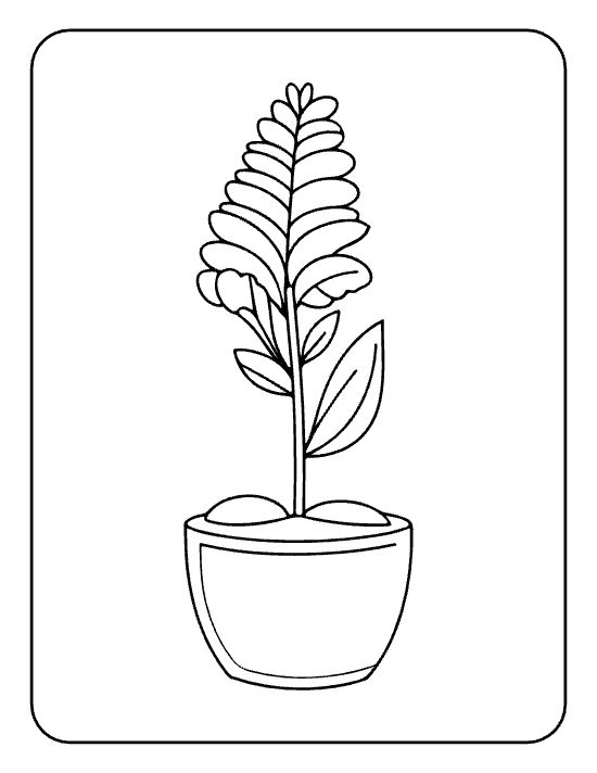 Tall wildflower spike with side leaves and round pebbles in a pot on a coloring page