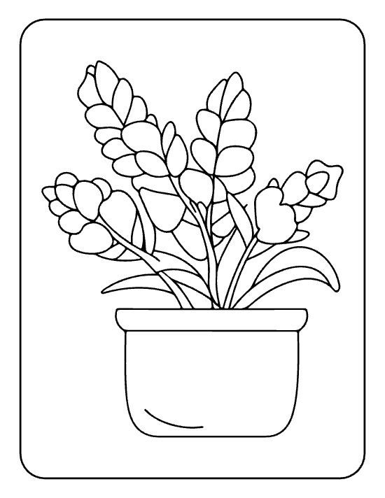 Tall lupine spikes mixed with tulip buds and pointed leaves in a small pot on a coloring sheet