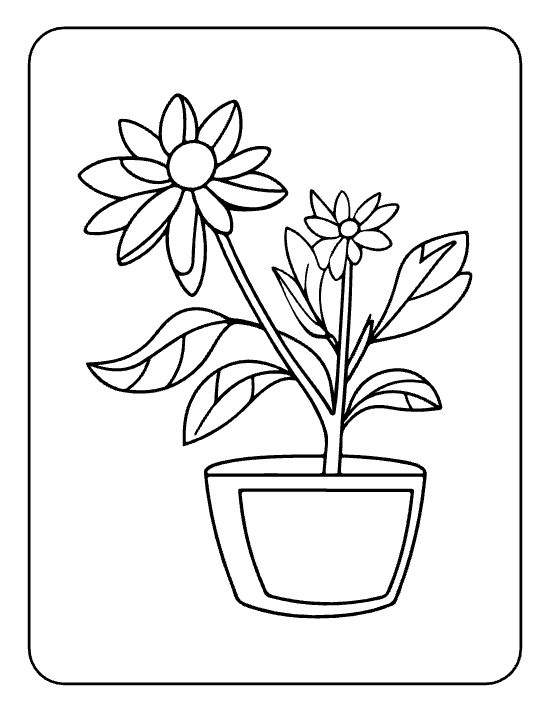 Large daisy and small daisy with curving leaves rising from a tall pot on a coloring page