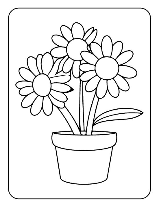 Three full daisies with skinny stems and one leaf in a round pot on a flower coloring page