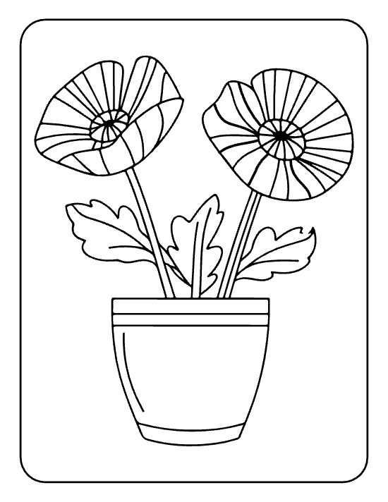 Two striped poppies with ruffled leaves growing from a pot on a flower coloring page