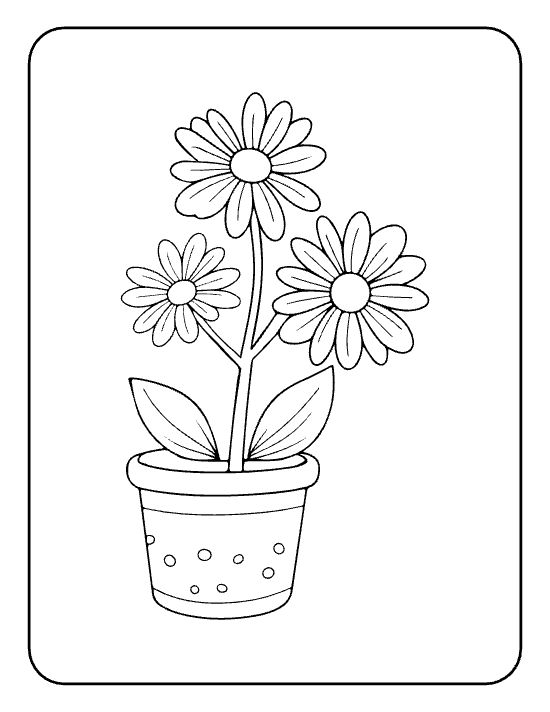 Three cheerful daisies with leaves in a polka dot terracotta pot on a coloring sheet