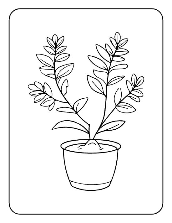 Two tall leafy stems with small oval leaves rising from a round pot drawn bold and easy