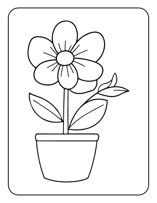 Single round flower with six wide petals and two leaves in a tall pot on a coloring page