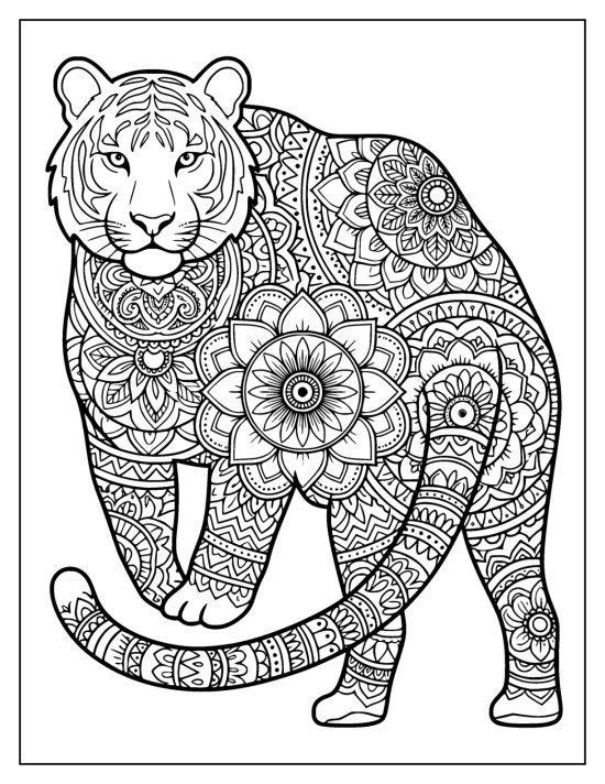 Tiger standing with a clear face and a large flower medallion on the chest, coloring page