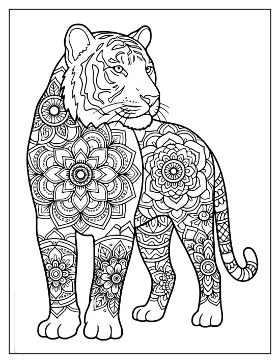 Tiger standing with a clear face and two large flower medallions on the body, coloring page