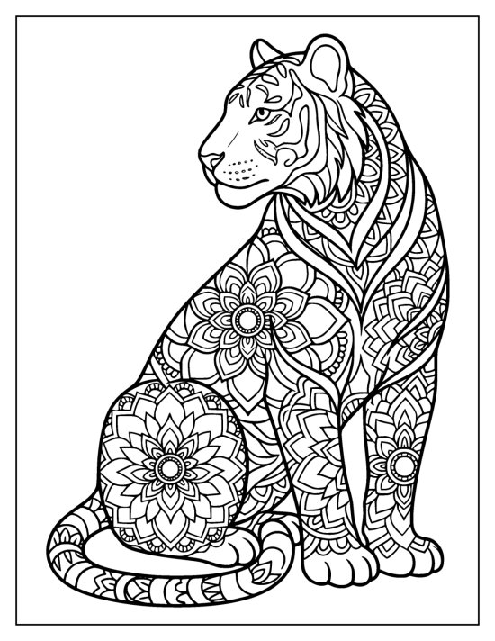 Tiger sitting tall with a clear face and a mandala on the chest, coloring sheet