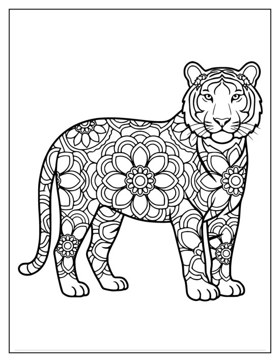 Tiger standing with a clear face and a large central flower mandala, mandala