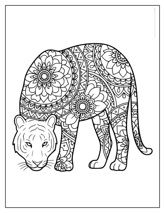 Tiger standing with head lowered and big flower medallions on the body, coloring sheet