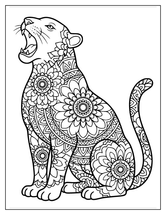 Tiger sitting and roaring with jaws open and mandala medallions, coloring page