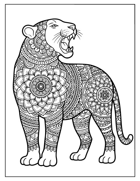Tiger standing and roaring with a lifted head and mandala medallions, coloring page
