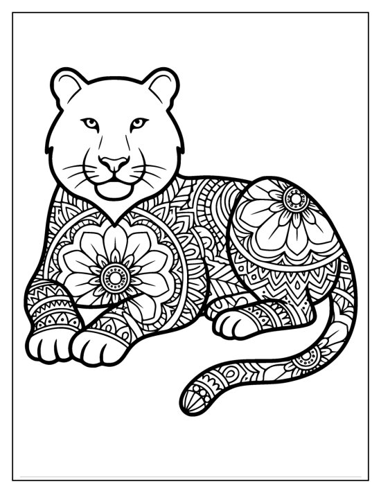 Tiger lying in a sphinx pose with a clear face and mandala medallions, mandala