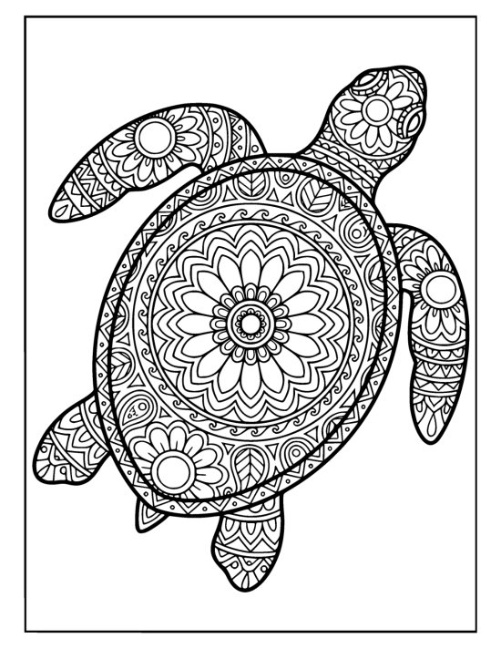 Top down sea turtle with a large floral shell medallion and patterned flippers, mandala