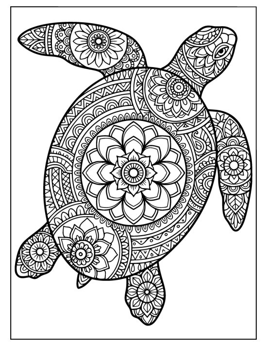 Turtle with front flippers lifted high and a dense mandala shell, mandala
