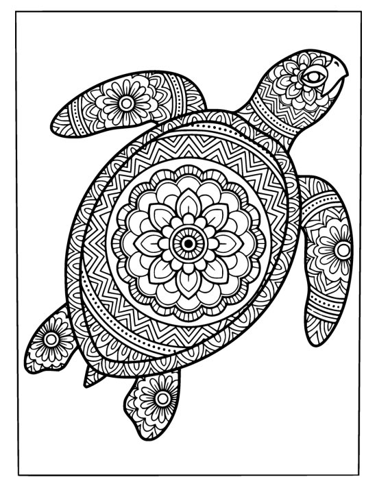 Three quarter sea turtle angled upward with a domed patterned shell, coloring sheet