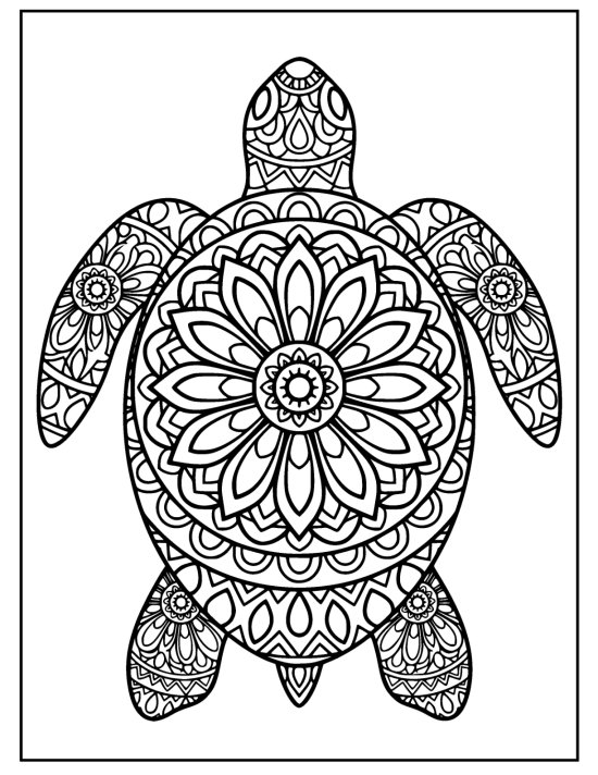 Turtle with flippers angled forward and down over a ringed shell, mandala