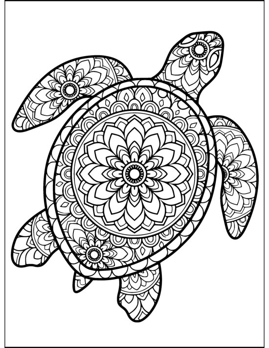 Turtle with flippers fanned wide and a big rosette on the shell, coloring sheet