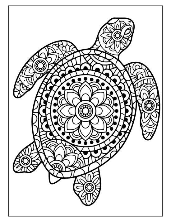 Sea turtle steering with angled rear flippers and a patterned shell, coloring sheet