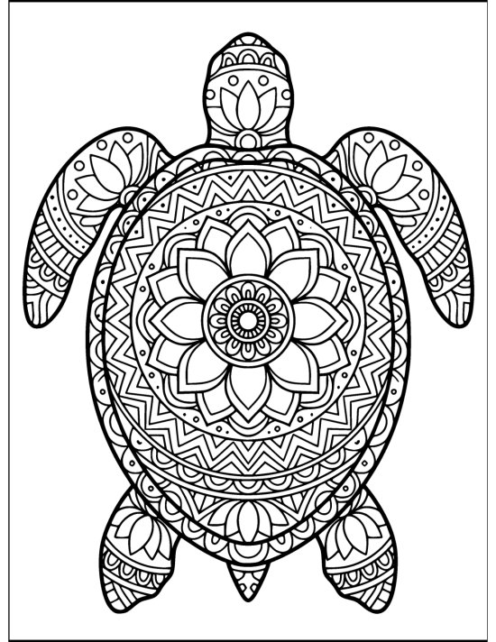 Turtle pushing its front flippers down with a bloom centered shell, coloring page