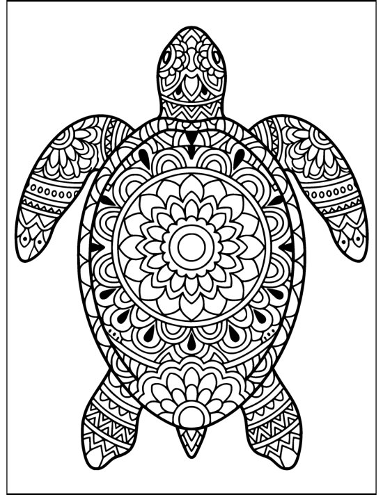 Symmetrical sea turtle with head centered and flippers spread evenly, coloring sheet