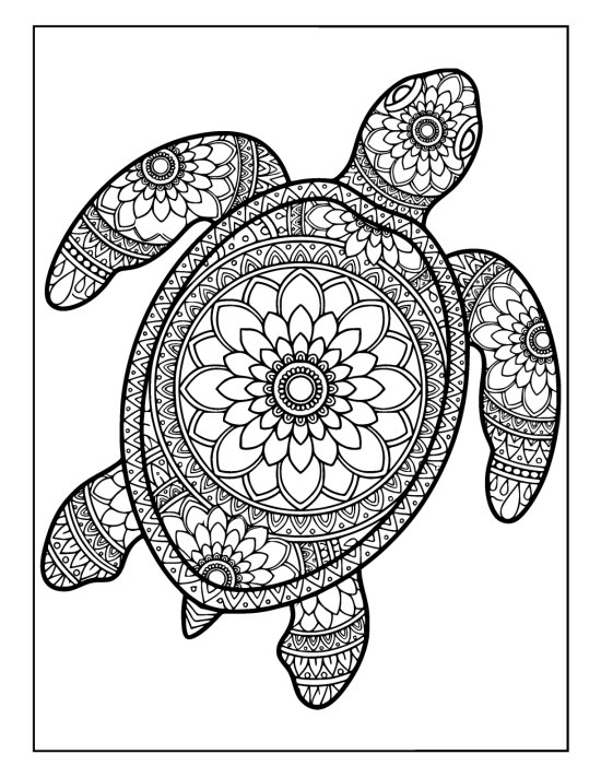 Sea turtle with front flippers curled forward and a petal ringed shell, mandala