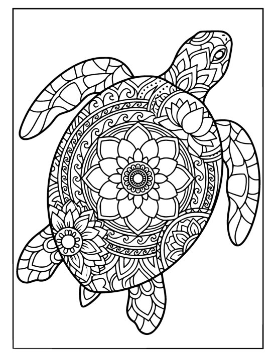 Turtle in a gentle banking turn with a geometric patterned shell, coloring page