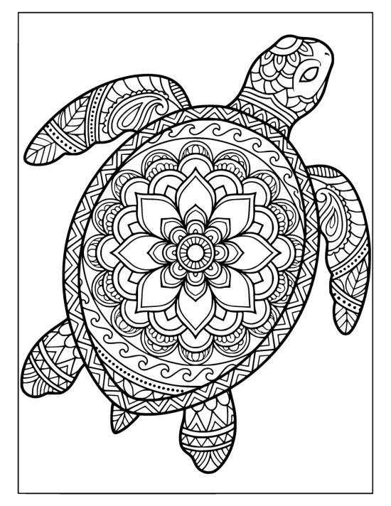 Sea turtle gliding with a softly raised head and a flower filled shell, mandala