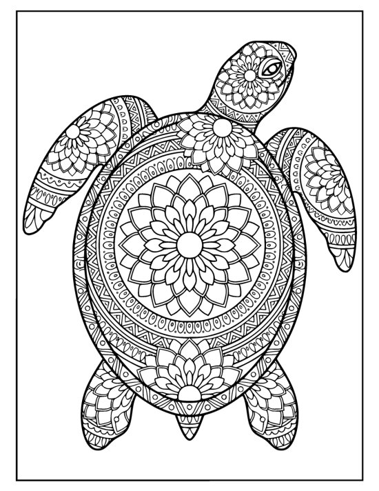 Sea turtle floating calmly with all four flippers relaxed and a bloom shell, coloring sheet