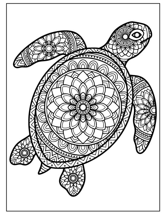 Side view sea turtle swimming with extended flippers and a patterned domed shell, coloring page