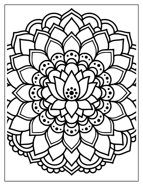Lotus with a rounded seeded pod and a sunburst of long petals, coloring page