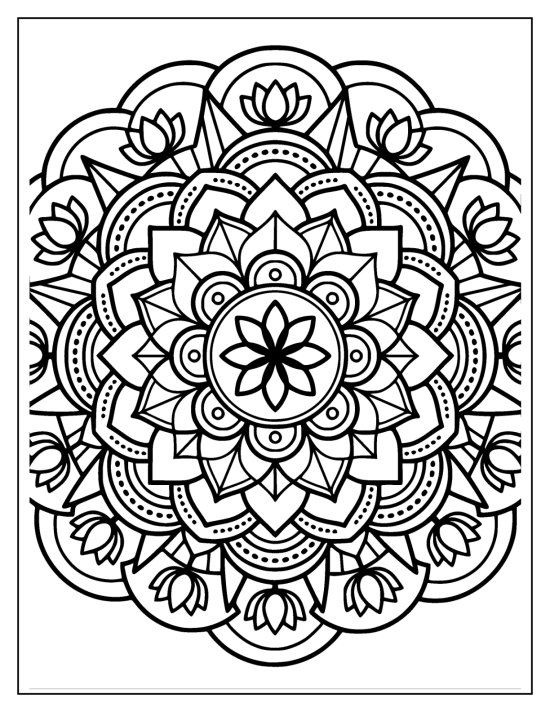 Lotus with a broad face of petals and a sturdy seeded pod, mandala