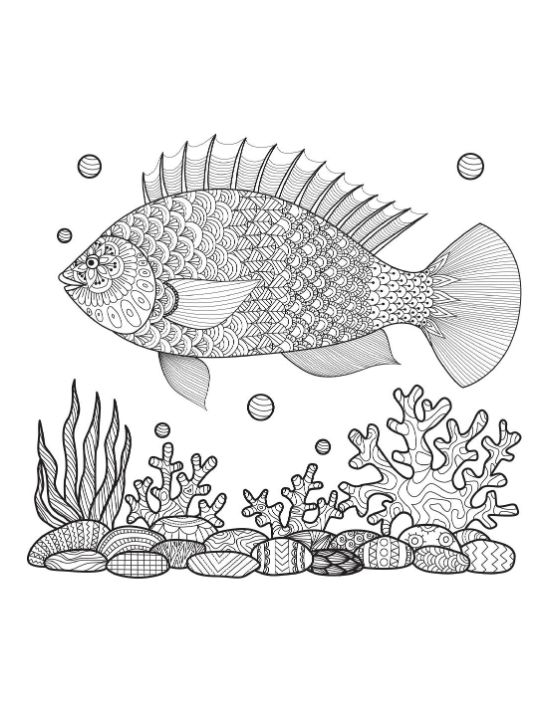 An intricate patterned fish swimming above detailed coral and textured rocks coloring page.