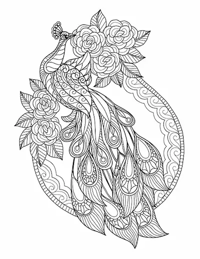 Intricate animal mandala coloring page for adults