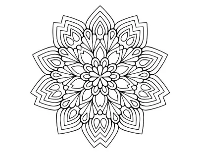 Intricate floral mandala with delicate petals and radiating symmetrically patterned elements mandala.