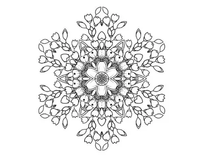 Intricate floral mandala with symmetrical petals and buds in a radial pattern, mandala.