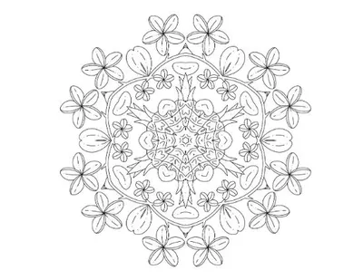 Floral mandala with a complex central design and outer ring of frangipani blossoms coloring page.