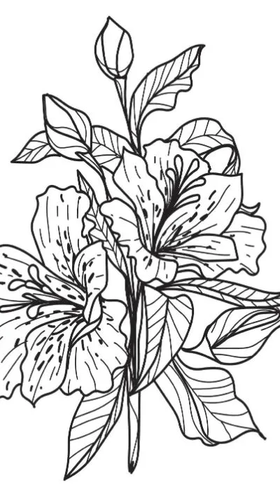Flowering plant with two large lilies and a budding flower coloring page.