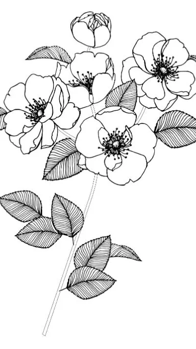 Delicate wildflower bouquet line art with lightly shaded leaves, coloring page.